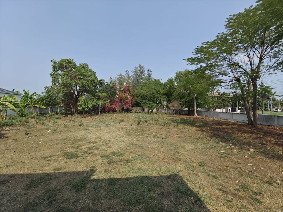 481380483_980149967387909_6655564052672192677_n