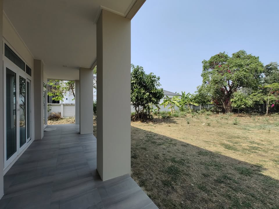 481599255_512454221895025_8178115090637224546_n