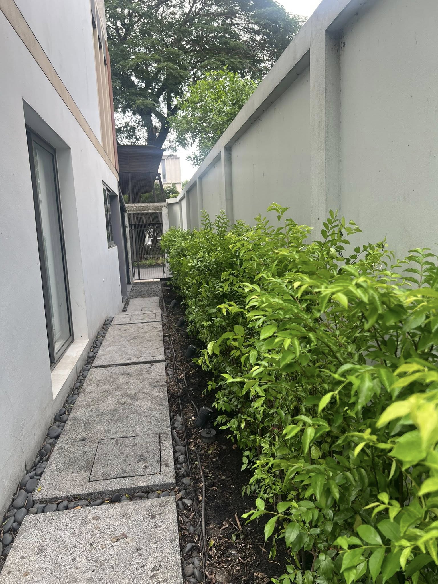 546619753_25587737524161829_8446264111670337774_n