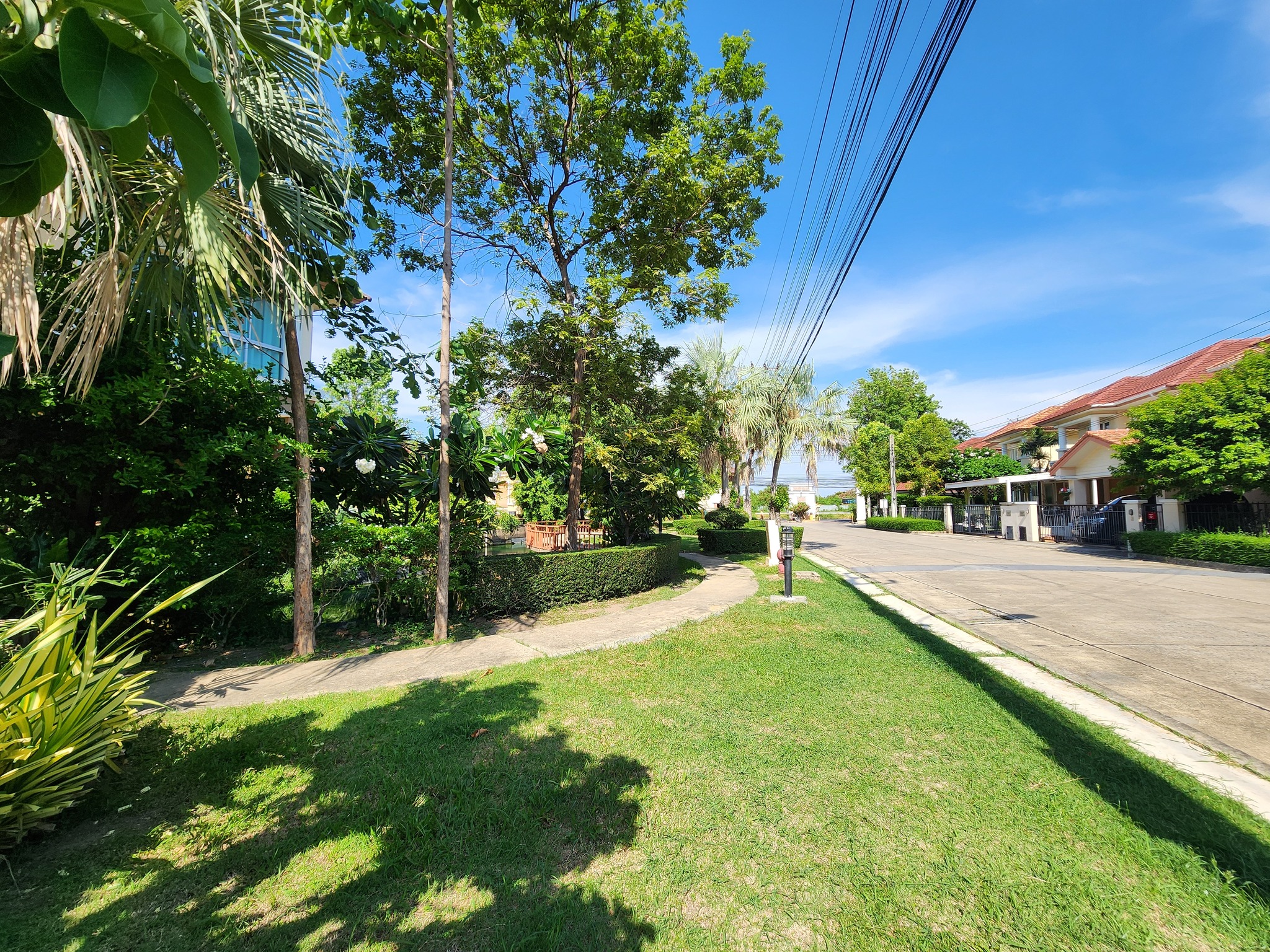 549243420_2042961279785850_3195032139622154703_n