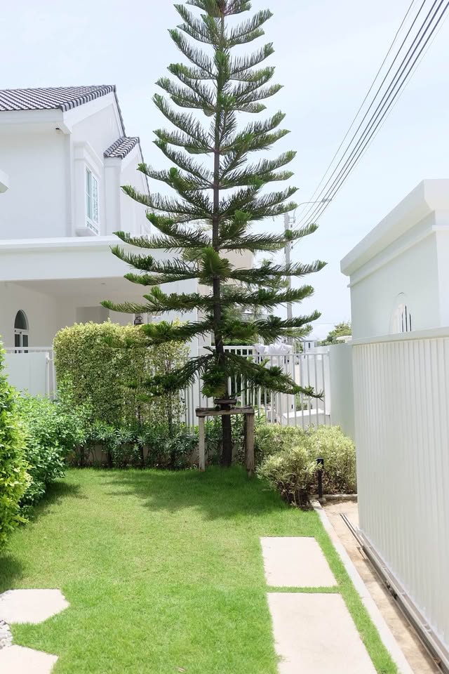 558115372_24828939766740060_634946924940509249_n